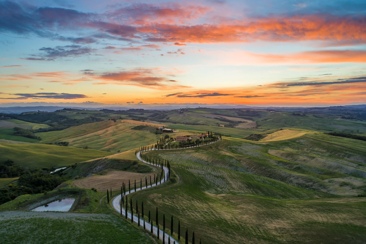 Cypress-lined hills in the Tuscan countryside