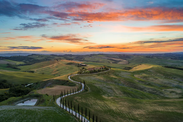 Cypress-lined hills in the Tuscan countryside